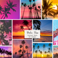 Palm Trees Content Images Bank - 24 images with PLR