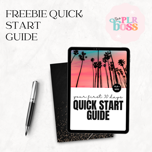 A Quick Start Guide for Digital Marketing - How to Navigate Your First 30 Days - FREE plus PLR
